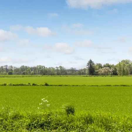 5 Bedroom Cozy In * Hadsund